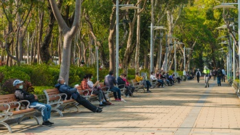 Victoria Park is well designed with ample seating for the community to use. An important piece of street furniture, the park bench promotes social interaction and enhances a sense of community.